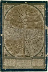 Arbre géographique Jésuites